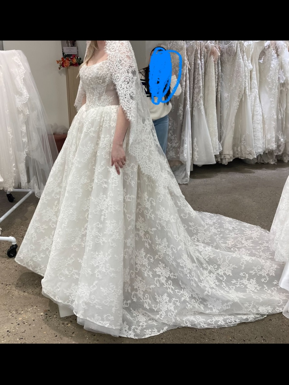 Elegant Lace Ball Gown Wedding Dress - Ivory